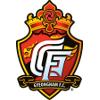 仁川联队 仁川联队