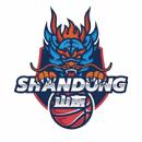 四川蜀道远达女篮 四川蜀道远达女篮